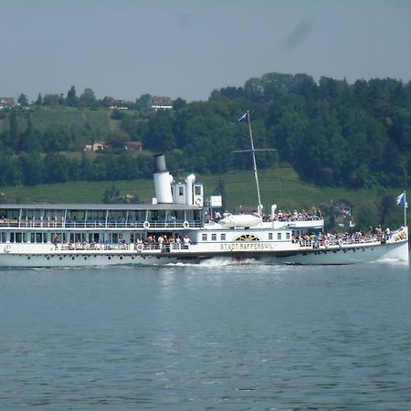 Ferienwohnung Rapperswil מראה חיצוני תמונה